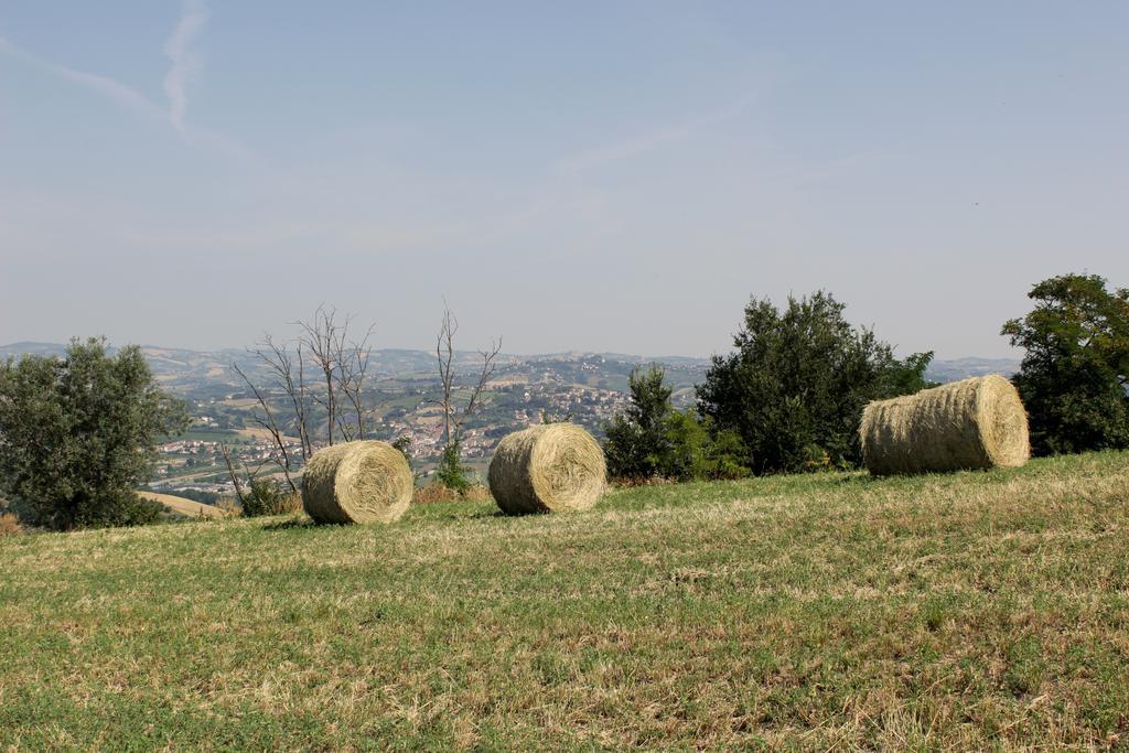 B&B Verdi Colline Controguerra Kültér fotó